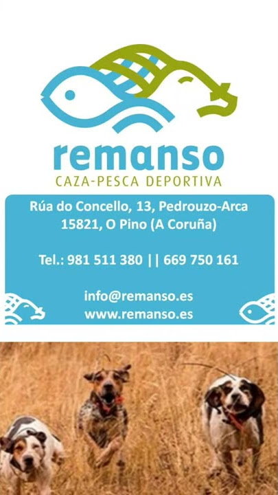 Remanso Caza Pesca - Toda nuestra gama de emisoras para caza, totalmente  homologadas. Descubre todas sus características 👇👇 www.remanso.es