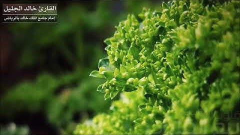 خالد الجليل ما تيسر من سورة البقرة تلاوة خاشعة