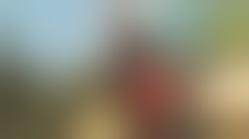 Trash Talkers Get Destroyed