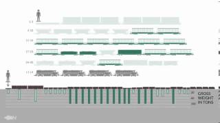 Train Injury Infographic