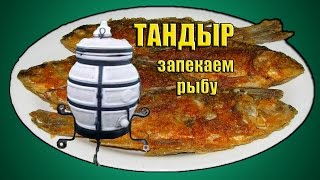 Тандыр на даче,запекаем жарим рыбу. #тандыр Тандыр на даче,запекаем жарим рыбу. #тандыр