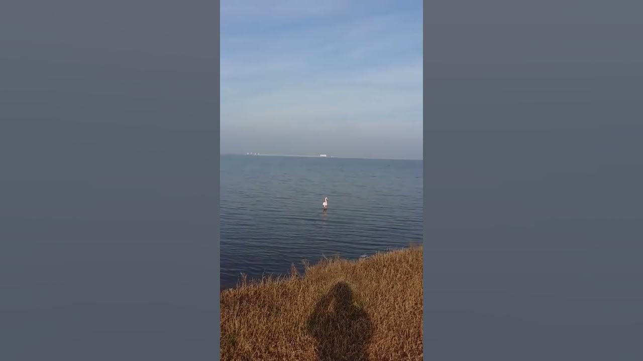 Варваровское водохранилище на карте Варваровское водохранилище