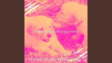 Mind-blowing Backdrops for Relaxing Dogs