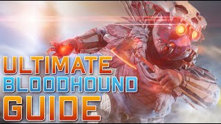 ULTIMATE BLOODHOUND GUIDE! Tips from an Apex Predator!