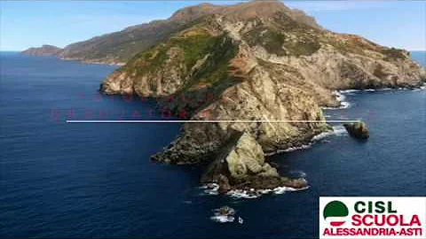 Chi deve compilare l'allegato G?