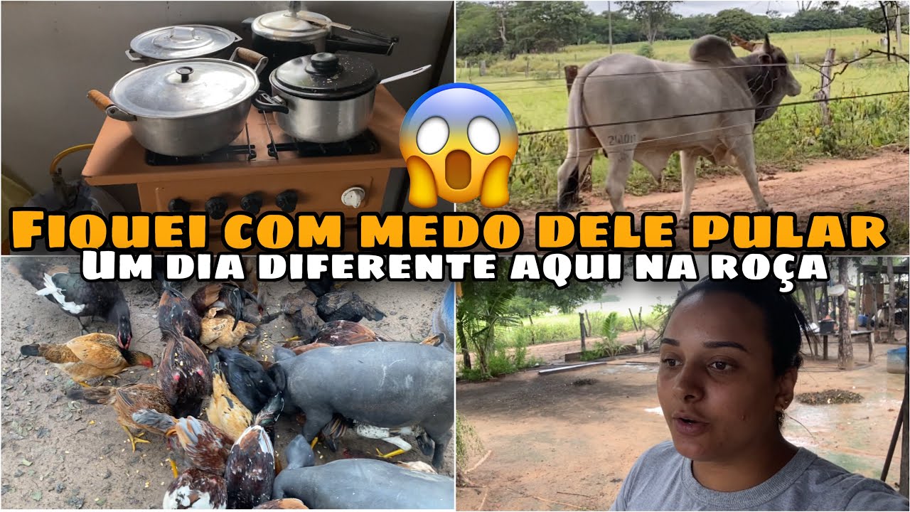 ELE QUASE PULOU A CERCA QUERIA BRIGAR MAIS O OUTRO PASSEI O MAIOR SUSTO NA ROÇA 😱