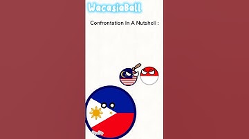 Confrontation In A Nutshell         #countryballs #flipaclip #animation