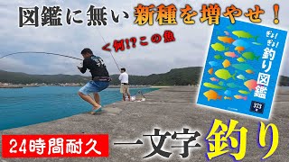 図鑑に載ってない美しい高級魚が釣れた『24時間耐久』一文字釣り寝ずに釣りをしまくるゾ【新・釣り図鑑を作ろうin 座間味島 #1】