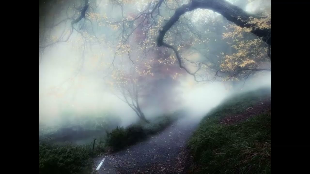 Yung Beef adromicfms 4 1/2 Sampled  Type Beat - "pillow talk" | Prod. 8cruxxent