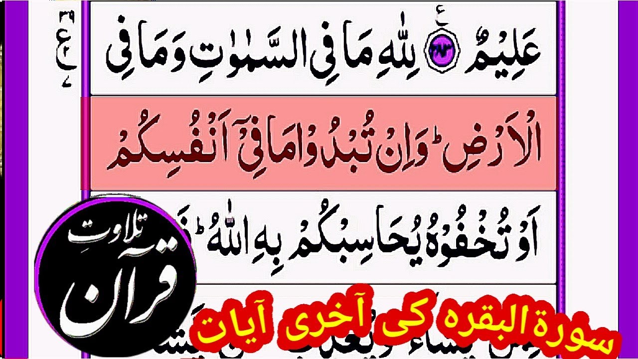 subhanallazi sakhara lana haza arabic in quran subhanallazi sakhara lana haza arabic in quran