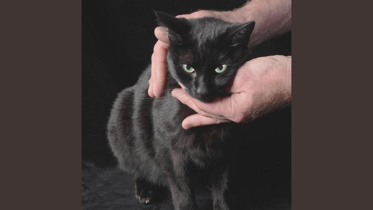 Ver Organizing Optimizing Time en YouTube Ver Organizing Optimizing Time en YouTube