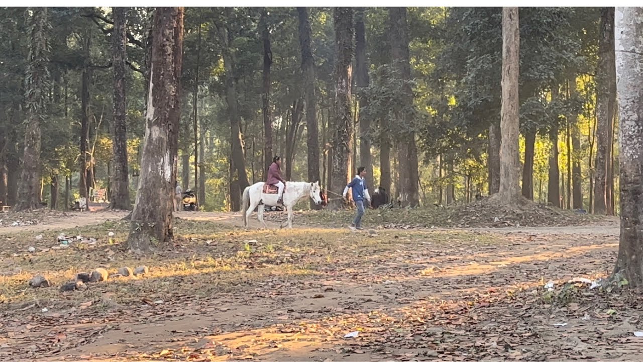 Tipu Khola Picnic Spot Dalkajhar Forest Bengdubi Siliguri West tipu-khola-picnic-spot-dalkajhar-forest-bengdubi-siliguri-west