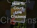 How To Count Live Chickens - EASY!  🐓🐓🐓