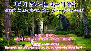 머리가 맑아지는 숲속의 음악!~     Music in the forest that clears your head!~