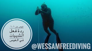 ردة فعل الثدييات في الغوص | Free Diving 101 | غوص حر 101 ليش بنقعد تحت الموية اكثر ؟