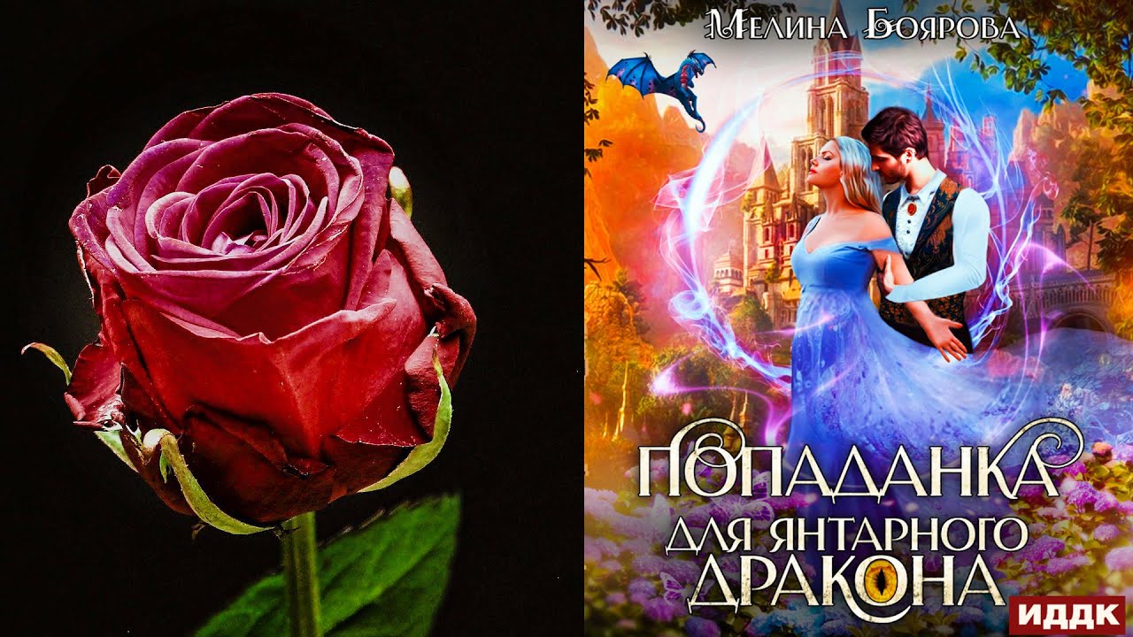 Мелина боярова аудиокниги. Попаданка для янтарного дракона. Мелина Боярова. «Попаданка для янтарного дракона». Янтарная песня дракон.