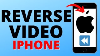 How to Reverse Video on iPhone - 2022 screenshot 5