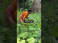 आमासँग करेसाबारी गफ 😄