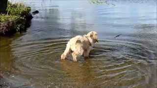 Who's afraid of water? by Lucky Piquel 116 views 9 years ago 2 minutes, 48 seconds