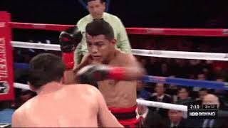 Roman Gonzalez-Edgar Sosa boxing highlights video
