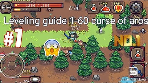 Curse of aros lvl guide 1-60