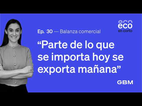 El déficit no es el villano del cuento: la balanza comercial