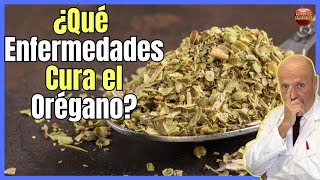 ¿QUE ENFERMEDADES CURA EL ORÉGANO Y COMO SE PREPARA?