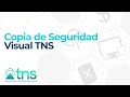 Copias de datos en Visual TNS