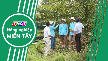 Toàn cảnh Nông nghiệp - 22/12/2024 | Nông nghiệp Miền Tây