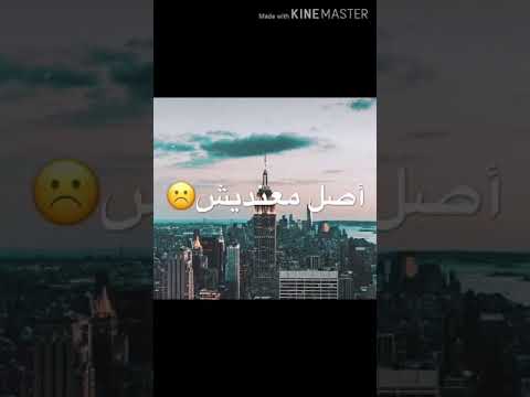 تامر حسني يا انا يا مفيش