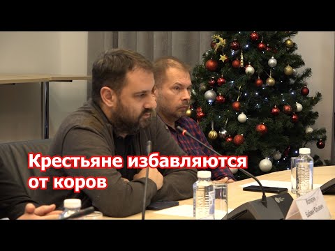 Почему крестьяне избавляются от коров?