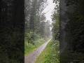 #rain#relaxingmusic #motivation #باران #آرامش_روح #آرامش ذهن