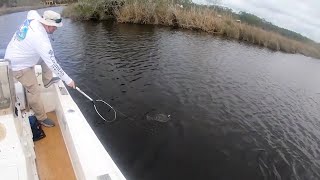 My buddy Sean and I getting on some FLOUNDER action before work.