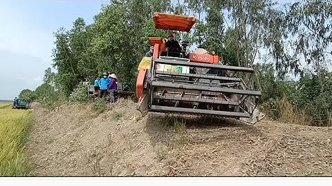 máy cắt lúa 93 độ bánh 9 mở Đồng cắt lúa rất nhanh tập90 #maibangtv