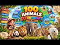 100 Animals of the World for Kids | Learn Animal Names & Fun Facts About Animals From 7 Continents