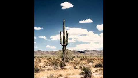 Marlboro Classics Mcs Story FW 2007