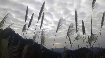 Phong cảnh Đèo Áng Toong Na rỳ tỉnh Bắc Cạn|Scenery of Ang Toong Na Ri Pass in Bac Kan Province