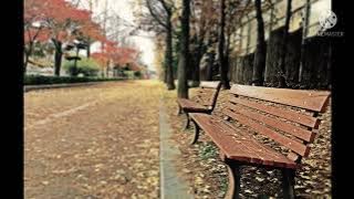 Samsons - The Most Beautiful Memories ( Karaoke Version )