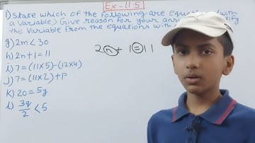 Math Class 6 Q1 Ex 11.5 Chapter 11 Algebra | NCERT Solutions |