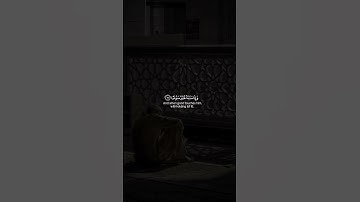 القرآن الكريم ❤️ " إن الإنسان خلق هلوعا " سورة المعارج