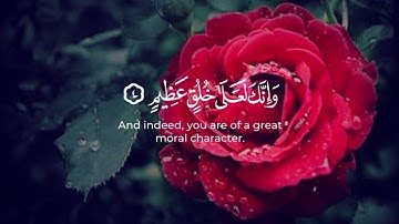 ن والقلم وما يسطرون _ عبدالعزيز العسيري _ سورة القلم 🕋