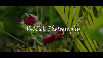 Thumbnail of Aaoge Jab | Neeti Mohan, Payal Dev & Aditya Dev | T-Series make up video