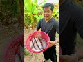ដើរលេងខ្លះទៅបងប្អូន 🌿📊🌿📊😍 ចាំថ្ងៃច័ន្ទជួបគ្នាតៀត#wedoforex #រៀនtradeមាស #tranding