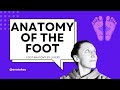 Anatomy of the Foot : How to Learn the Layers of the Plantar Foot