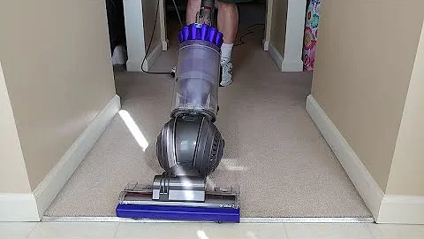 Dyson DC41 With Ball Animal 2 Head Whole House Carpet Cleaning