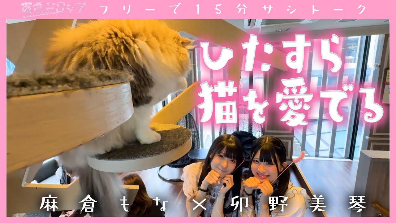 Mona Asakura x Mikoto Uno's One-on-one Talk (tentative
