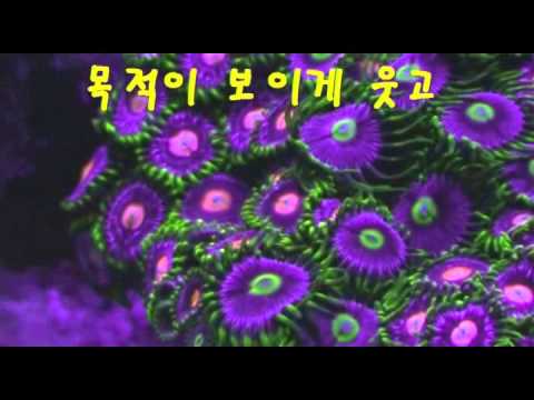 웃음에 관한 명언
