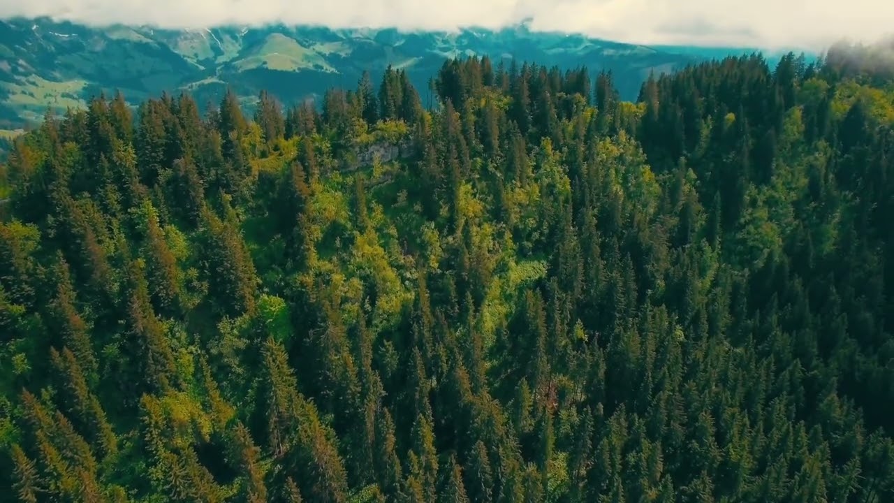 Alex Baker - Walk The Line (ft. Bailey)