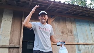 Download Lagu NENG MBIRI OMAH,NGOPENI INGON2KU. MP3 Download Lagu NENG MBIRI OMAH,NGOPENI INGON2KU. MP3