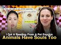 Are Pet Psychics Real My Cats Talk To An Animal Communicator Ft Lori Cowen 